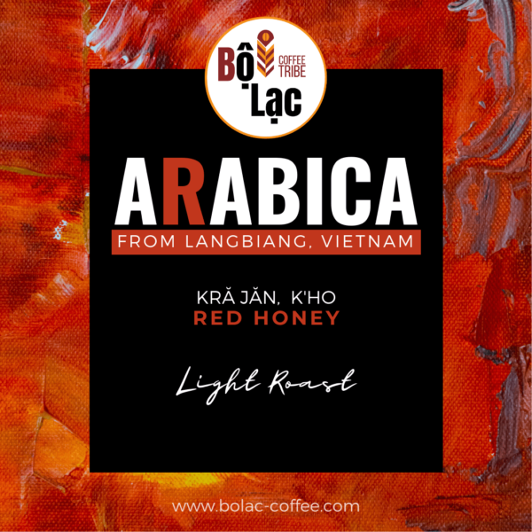 Red Honey Arabica - Light Roast - processed by Zanya Coffee in Langbiang