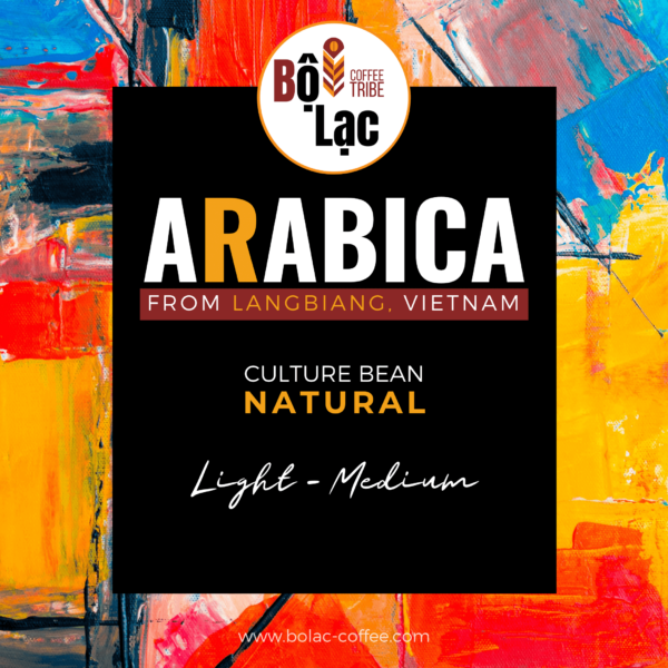 Natural Arabica - Light-Medium - processed by Culture Bean Langbiang